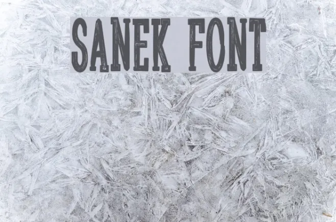 Sanek Example 2