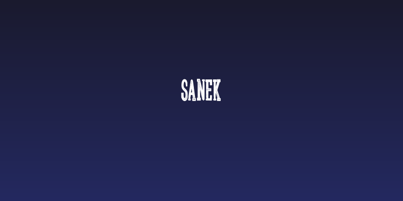 Sanek Social Header
