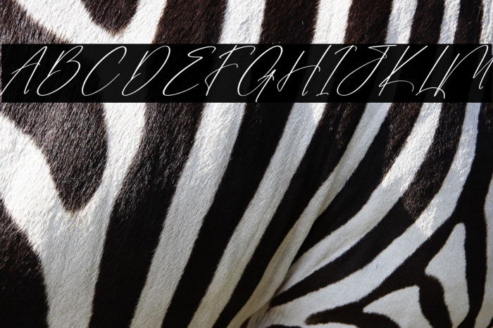 Sanetury Grethan DEMO VERSION Italic Example 1