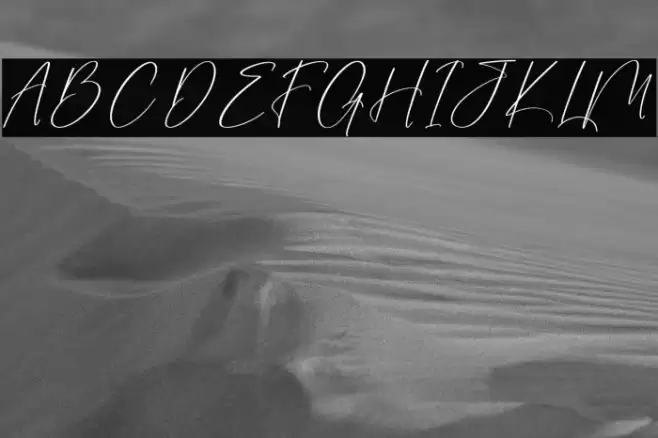 Sanetury Grethan DEMO VERSION Polices examples