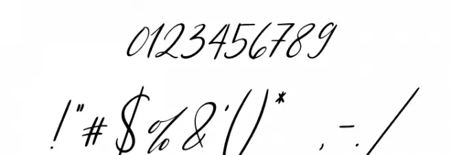 Sanflorida Italic Font OTHER CHARS