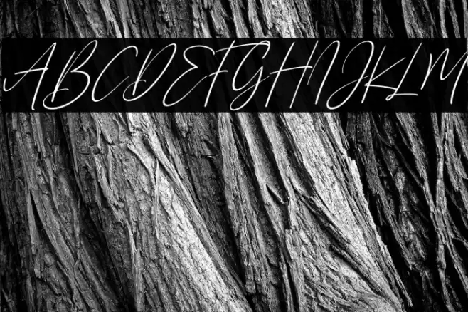 Sanflorida Italic Font examples