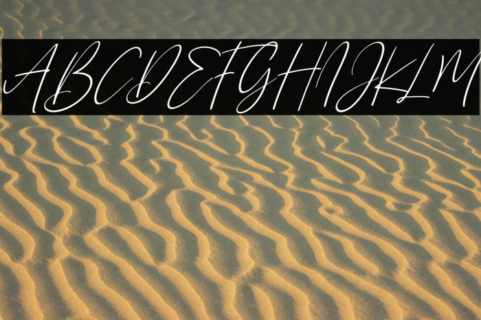 Sanflorida Italic Example 3