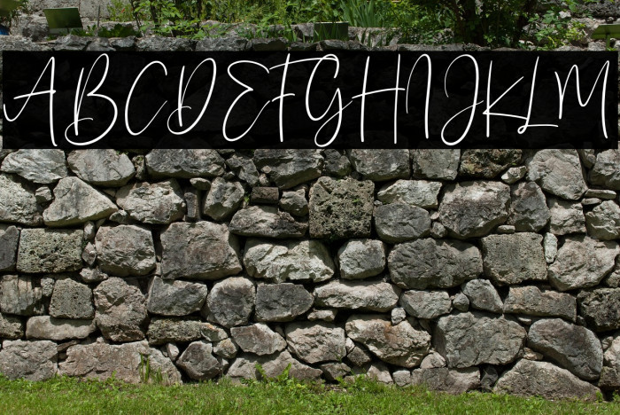 Sanflorida Example 1