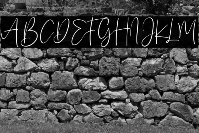 Sanflorida Schriftart examples