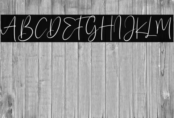 Sanflorida Schriftart examples