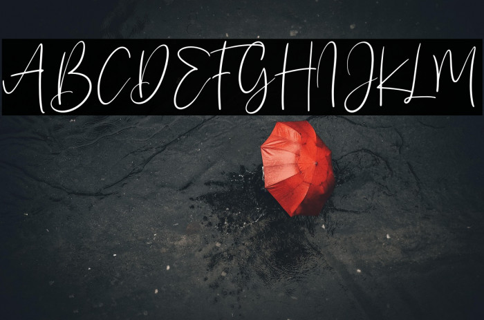 Sanflorida Example 3