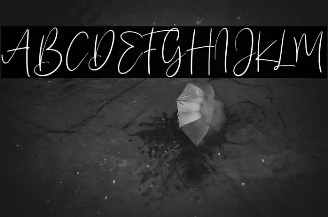 Sanflorida Schriftart examples