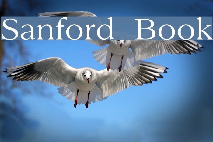 Sanford Book Font examples