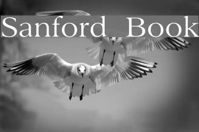 Sanford  Book Font examples