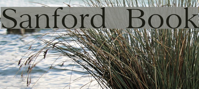 Sanford Book Font examples