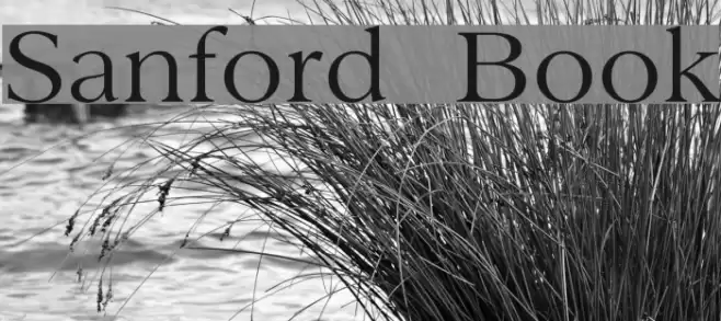 Sanford  Book Font examples