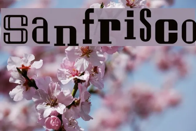 Sanfrisco Example 1