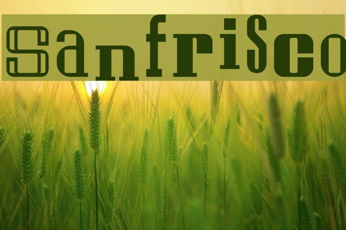 Sanfrisco Font examples