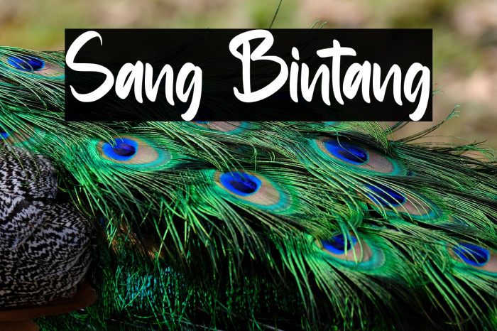 Sang Bintang Example 1