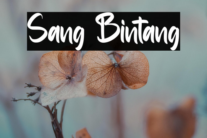 Sang Bintang Example 2