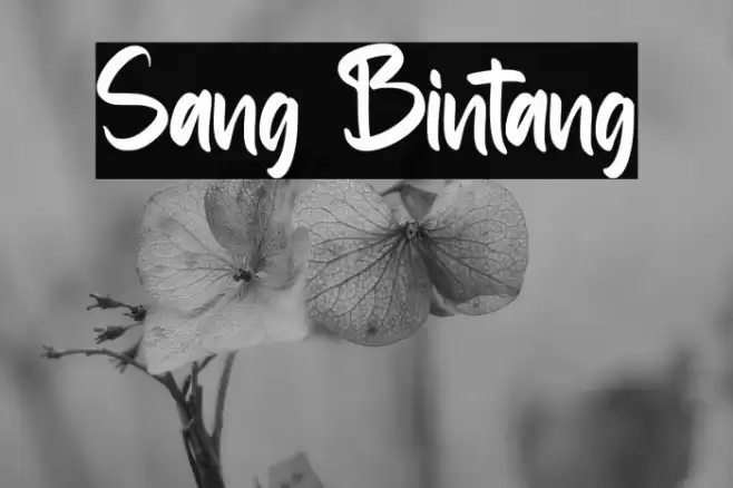 Sang Bintang Font examples