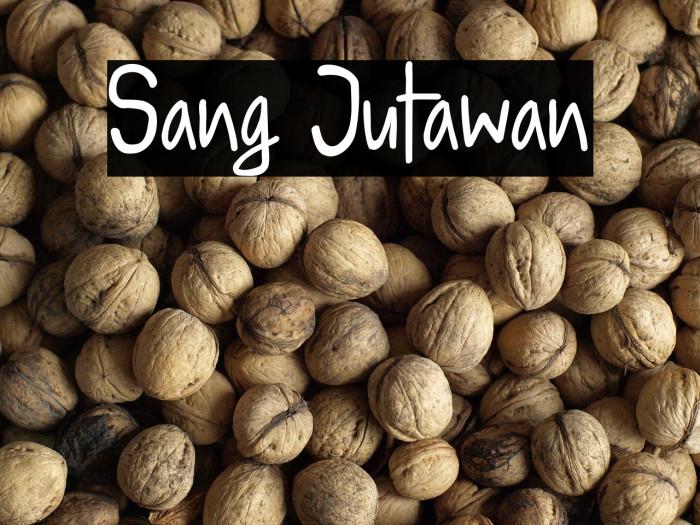 Sang Jutawan Example 2