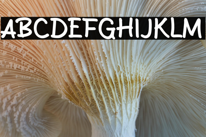 Sanger Show Example 1