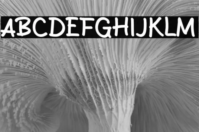 Sanger Show Caratteri examples