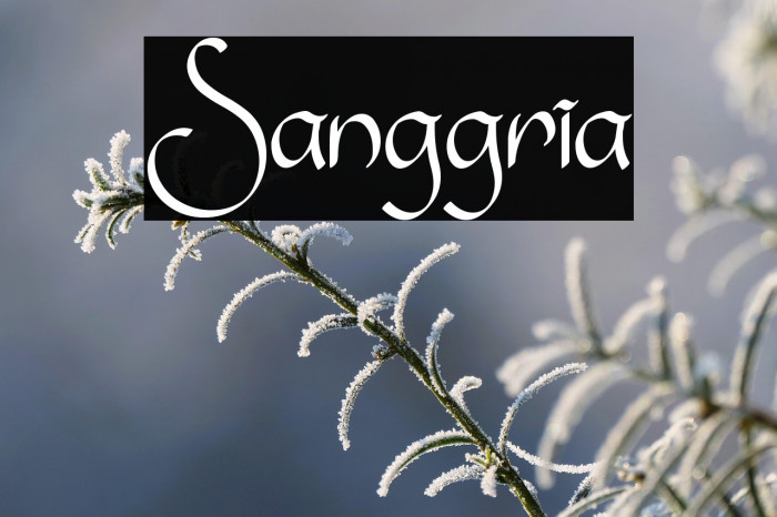 Sanggria Example 1