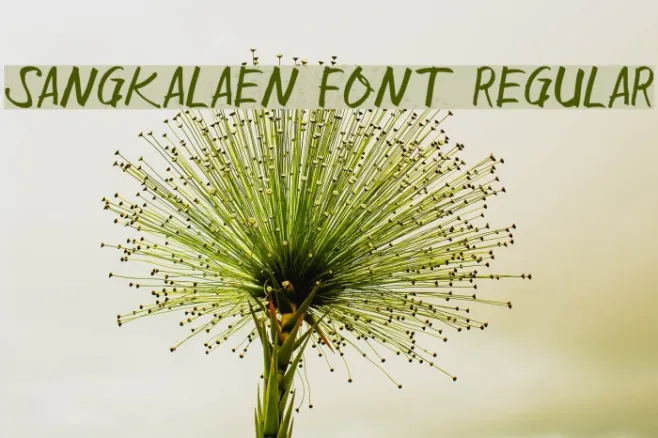 Sangkalaen Font Regular Example 2