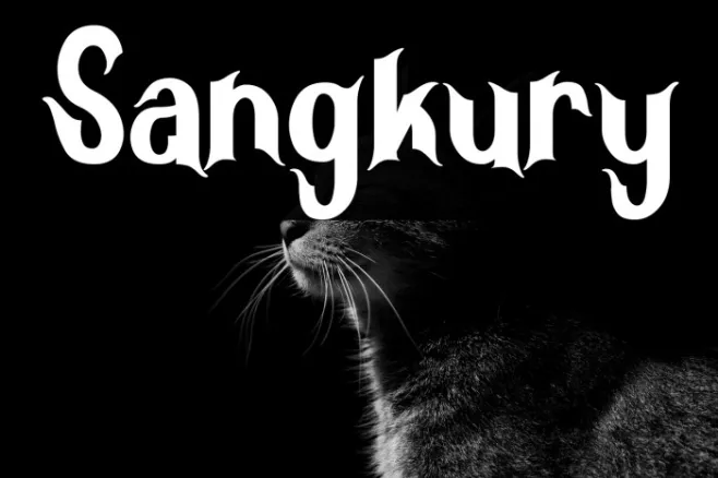 Sangkury Example 1