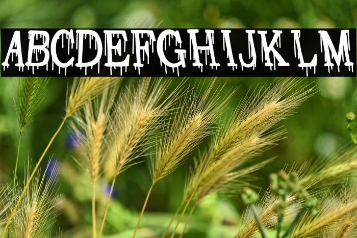 Sangre de Cristo Example 1