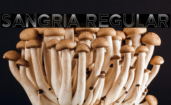 Sangria Regular Example 2