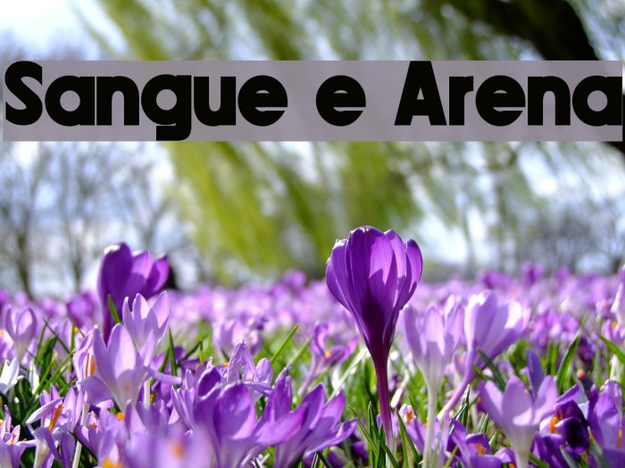 Sangue e Arena Font examples