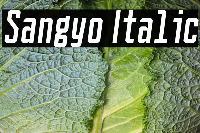 Sangyo Italic Example 2