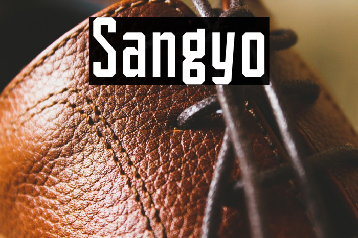 Sangyo Example 1