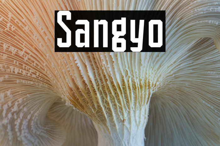 Sangyo Example 2