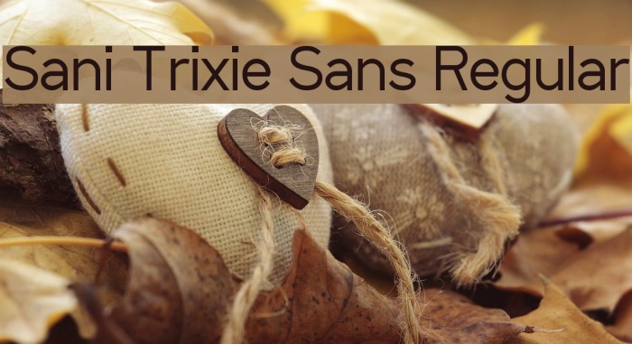 Sani Trixie Sans Regular Font examples