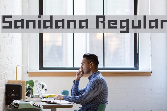 Sanidana Regular Font examples
