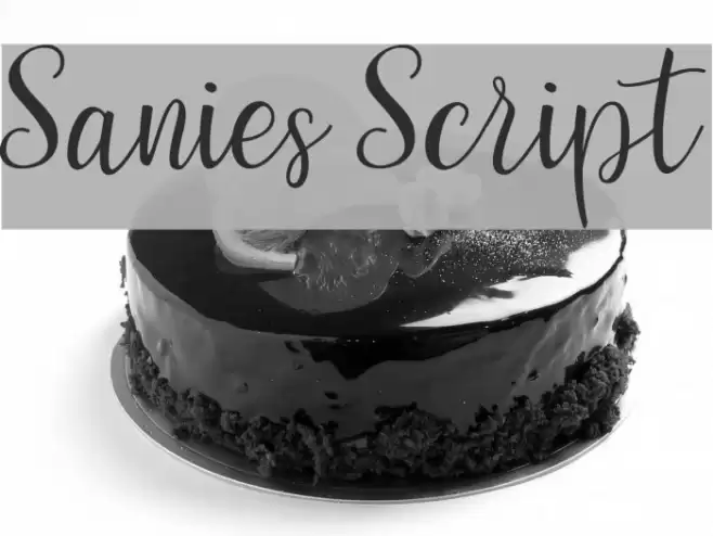 Sanies Script Шрифта examples