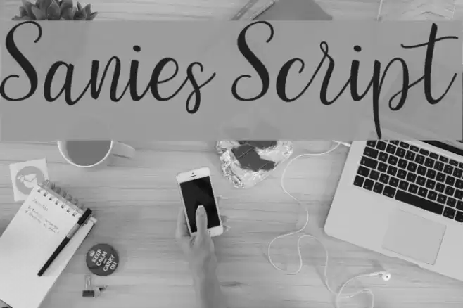 Sanies Script Шрифта examples