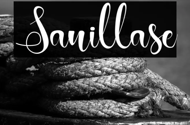 Sanillase Example 2