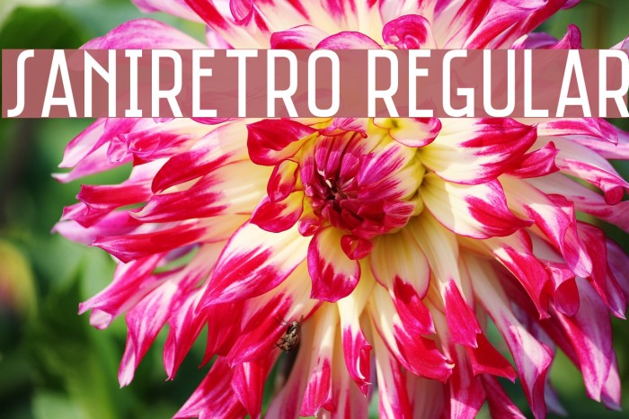 Saniretro Regular Font examples