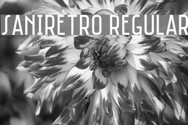 Saniretro Regular フォント examples