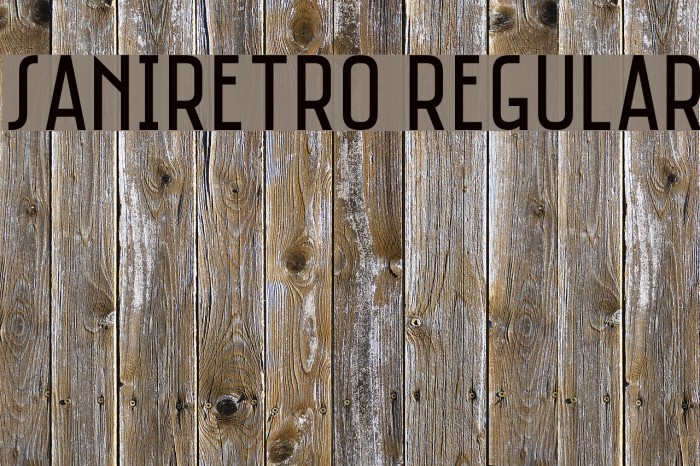 Saniretro Regular Font examples