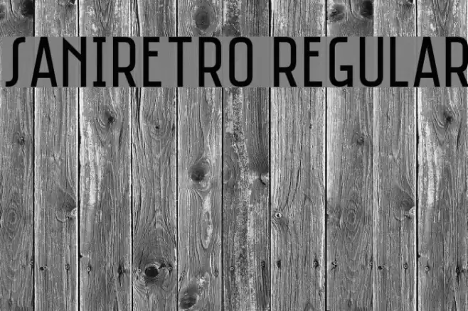 Saniretro Regular フォント examples