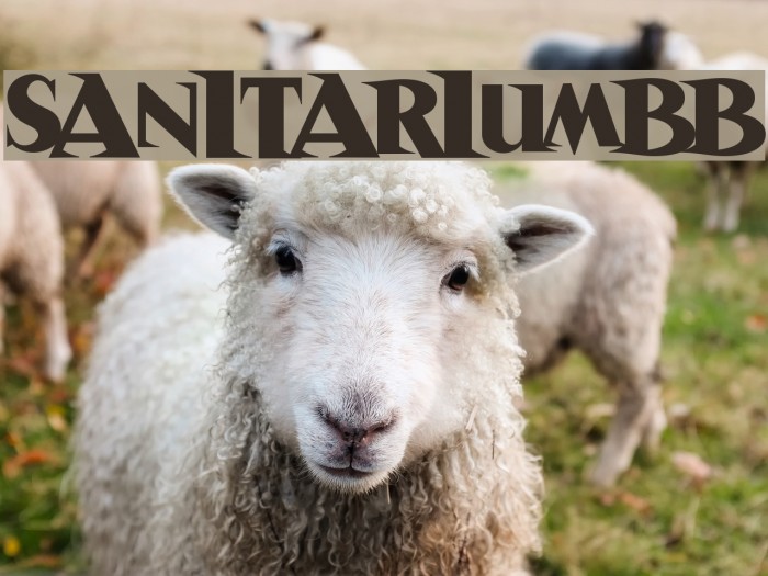 SanitariumBB Font examples
