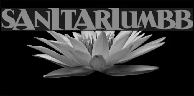 SanitariumBB Font examples