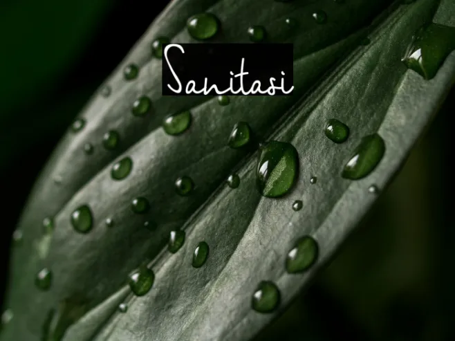 Sanitasi Example 1