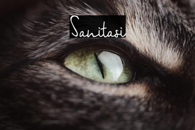 Sanitasi Example 2