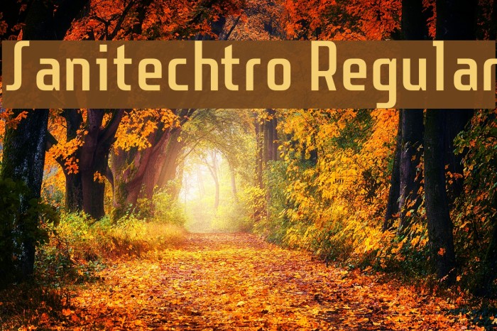 Sanitechtro Regular Font examples