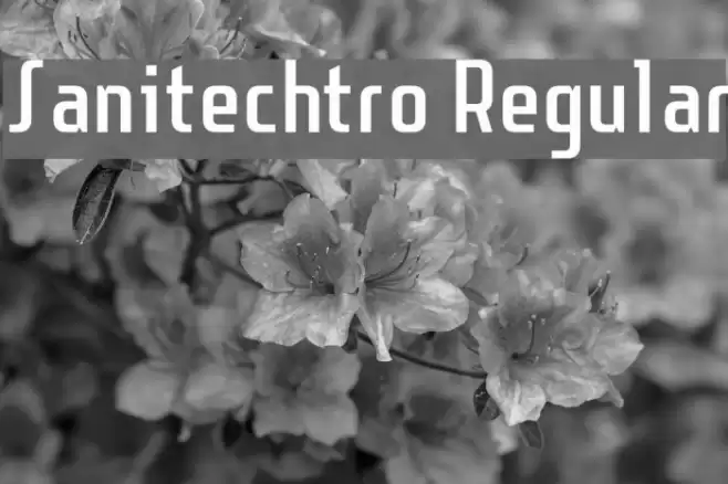Sanitechtro Regular Font examples