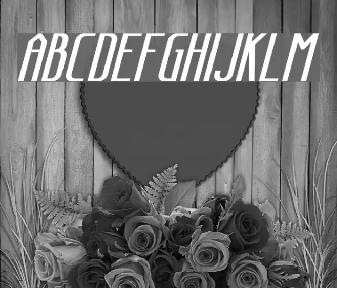 Sanity Bold Italic خط examples