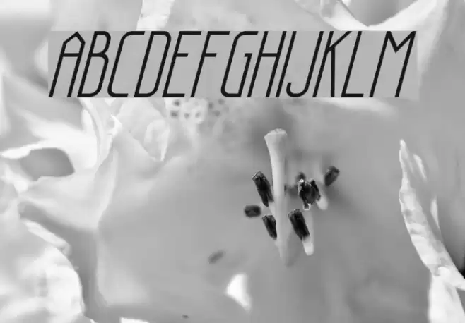 Sanity Italic フォント examples